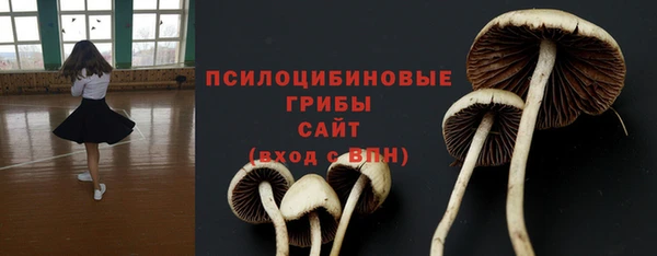 бошки Усмань