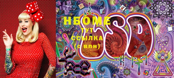 spice Аркадак
